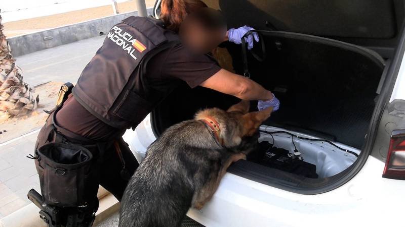78 arrests in bust of major Western Mediterranean smuggling network in Spain – The criminal network operated like a logistics company managing two-way maritime smuggling of drugs, weapons and migrants between Europe and Algeria