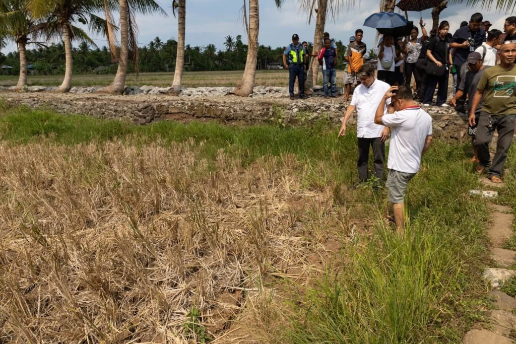 UN warns of rising food prices due to climate change and energy price hikes – JURIST