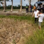 UN warns of rising food prices due to climate change and energy price hikes – JURIST