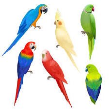 Save Wildlife through Captive Breeding